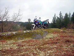 DSCN5372 DSCN5372