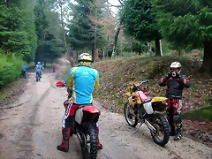 DSCN5356 DSCN5356