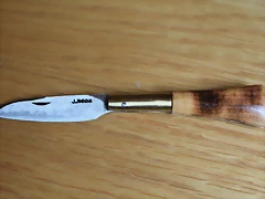 IMG_1270 IMG_1270