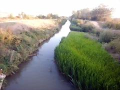 DSCN9538 DSCN9538