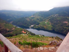 DSCN6254 DSCN6254
