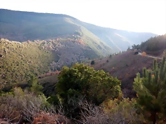 DSCN3288 DSCN3288