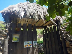 DSCN8381 DSCN8381