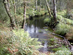 DSCN8971 DSCN8971