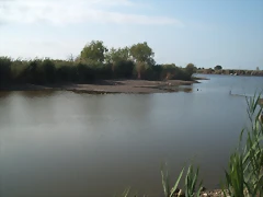 DSCF2370