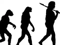 evolucion1--647x231