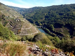 DSCN0461 DSCN0461