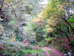 DSCN6278 DSCN6278