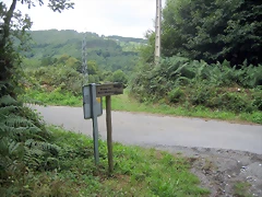 IMG_0258 IMG_0258