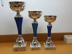 TROFEOS RESISTENCIA