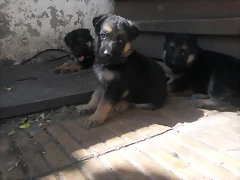 Foto0144