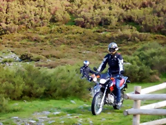 DSCN1434 DSCN1434