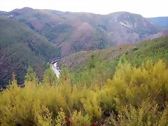 DSCN9896 DSCN9896