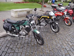P6085671 P6085671