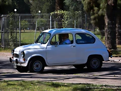 DSC_0696 DSC_0696