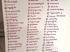 Mar?a twitter 20-11-2016 (1) Mar?a twitter 20-11-2016 (1)