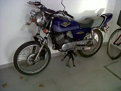 telefono 012