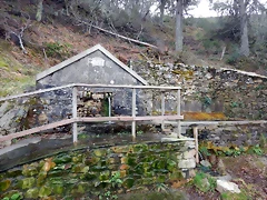 DSCN4962 DSCN4962