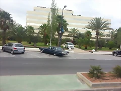 Tbird ibiza Tbird ibiza
