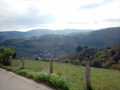 DSCN0478 DSCN0478