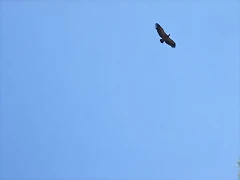 DSCF2082 DSCF2082