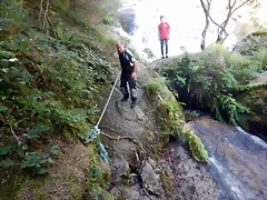 DSCN0698 DSCN0698
