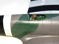 SDC39455 SDC39455