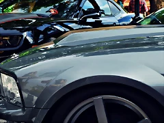 DSC_0854 DSC_0854