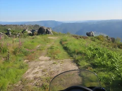 IMG_2599 IMG_2599
