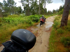 DSCN5315 DSCN5315