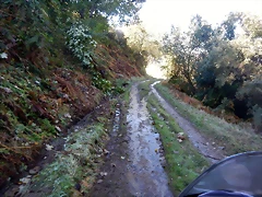 DSCN0035 DSCN0035
