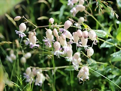 IMG_6759 IMG_6759