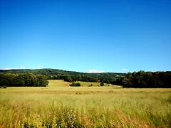 DSCN6790 DSCN6790