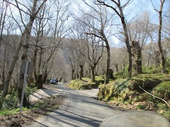 IMG_0236 IMG_0236