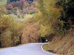 DSCN2815'4 DSCN2815'4