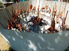 DSCN0733 DSCN0733