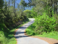 125-Imagen 126 125-Imagen 126