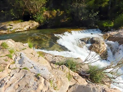 DSCN3131 DSCN3131