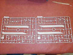 P4200010 P4200010