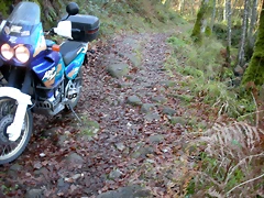 DSCN2097 DSCN2097
