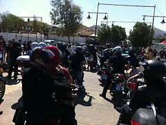 IMG_1257 IMG_1257