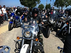 IMG_1258 IMG_1258