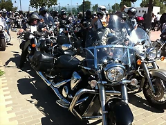 IMG_1262 IMG_1262