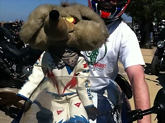 IMG_1261 IMG_1261