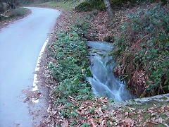 DSCN5032 DSCN5032