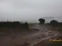 006, camino a la sierra, marca