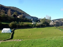 DSCN4117 DSCN4117