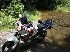 P8110024 P8110024