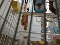 foto azul
