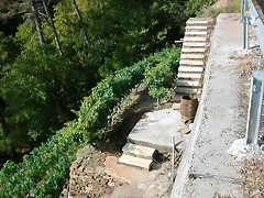 DSCN7495 DSCN7495